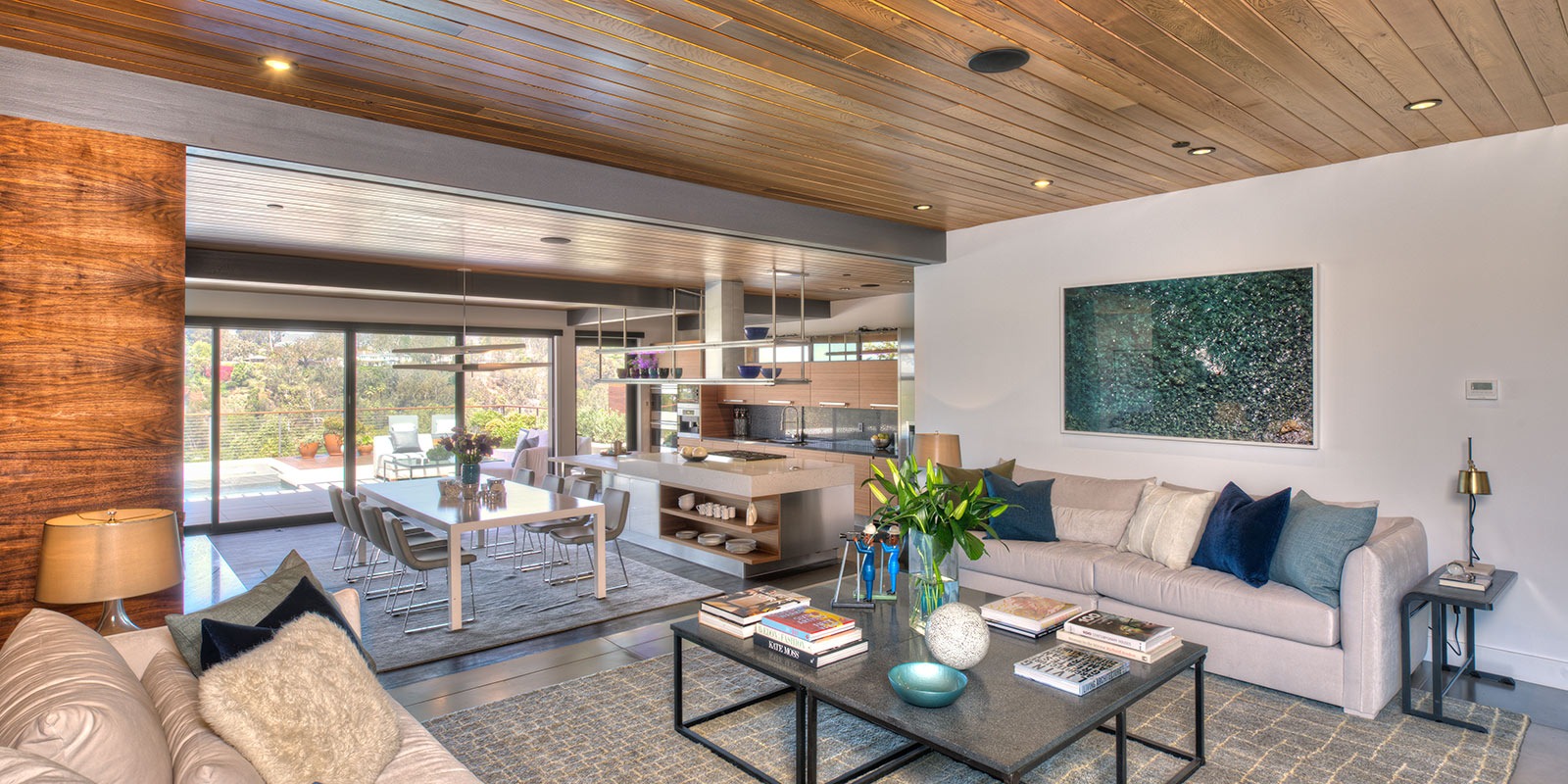 Ray kappe Living Home 8 imgi_16_Adelaide-8-living_room_left_side_LG-Desktop-Cropped (2)